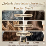 SHAMPOO TINTE 3 EN 1 UNISEX CUBRE CANAS + ENVÍO GRATIS 🎁